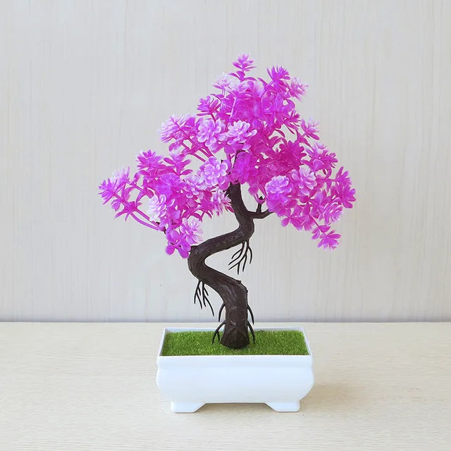 ZenBloom™ – Bonsai-Baum