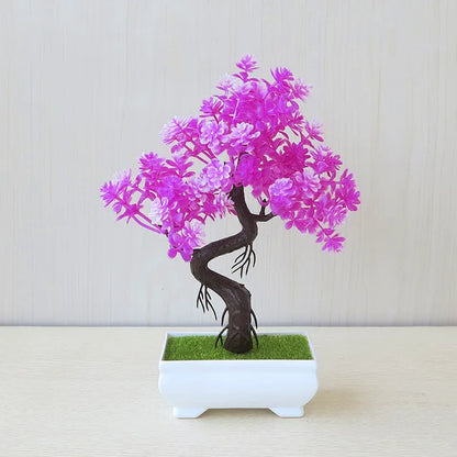 ZenBloom™ – Bonsai-Baum