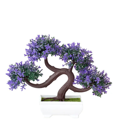 ZenBloom™ – Bonsai-Baum