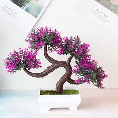 ZenBloom™ – Bonsai-Baum