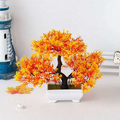 ZenBloom™ – Bonsai-Baum