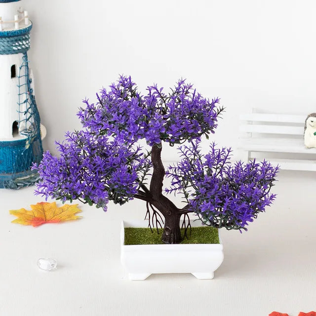 ZenBloom™ – Bonsai-Baum