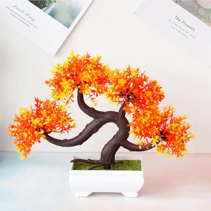 ZenBloom™ – Bonsai-Baum