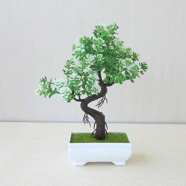 ZenBloom™ – Bonsai-Baum