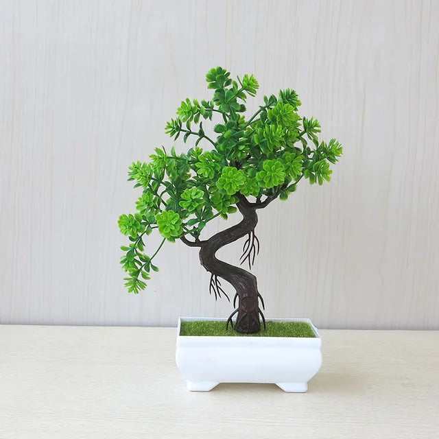 ZenBloom™ – Bonsai-Baum