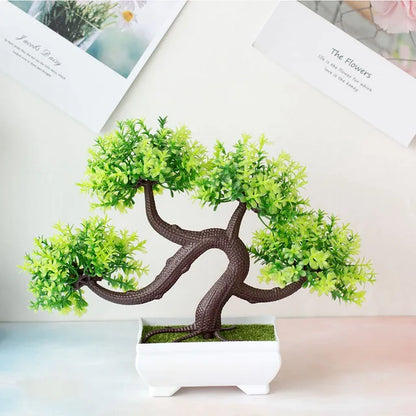 ZenBloom™ – Bonsai-Baum