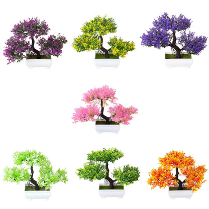 ZenBloom™ – Bonsai-Baum