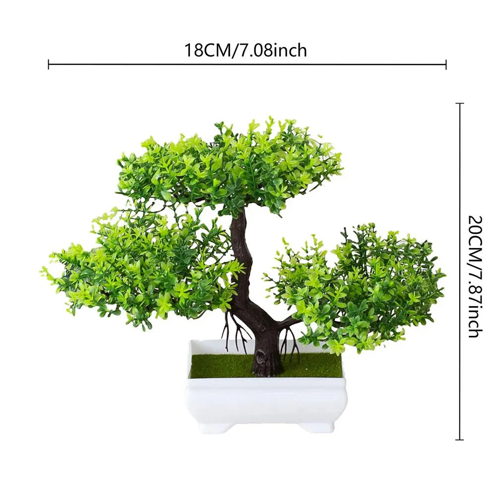 ZenBloom™ – Bonsai-Baum