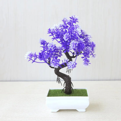 ZenBloom™ – Bonsai-Baum