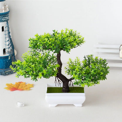 ZenBloom™ – Bonsai-Baum